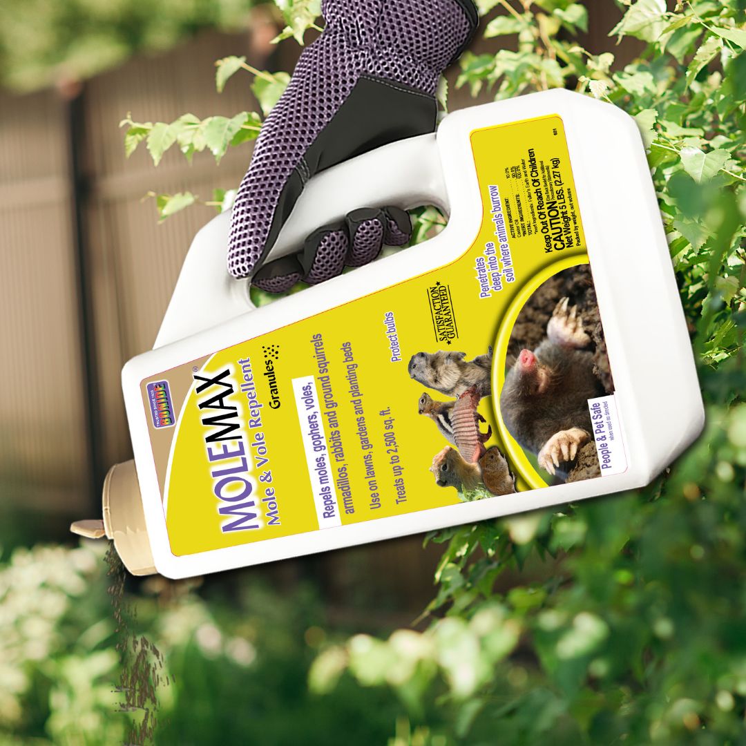 MoleMax Mole & Vole Repellent Granules – Bonide – 5 lb